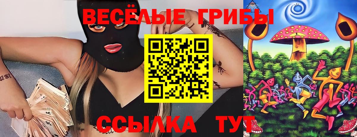 Жигулёвск  Галлюциногенные грибы прущие грибы  Псилоцибиновые грибы Psilocybine cubensis  Вход с VPN 